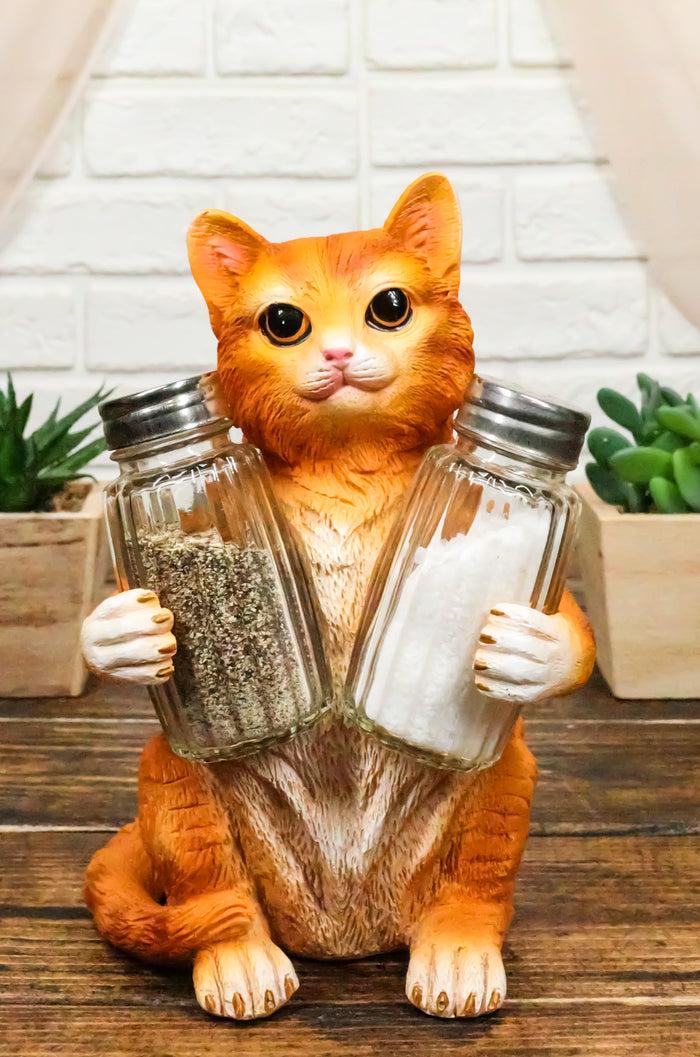 ebros gift Ebros Orange Tabby Kitty Cat Hugging Spice Salt Pepper Shakers Holder 8.25"H