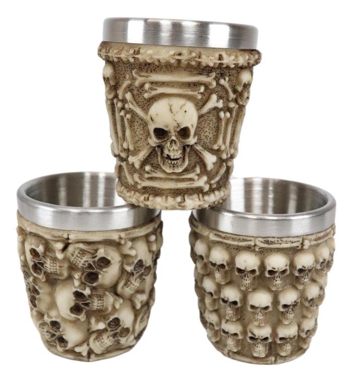 Ebros Gift Ebros Ossuary Macabre Morphing Skulls & Skeleton Bones 3D Shot Glasses Set Of 4