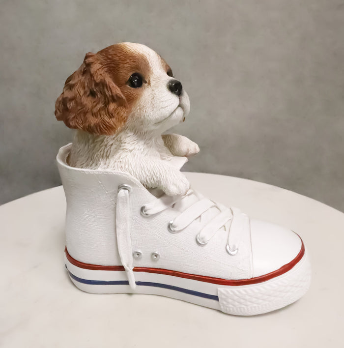 ebros gift Ebros 'Paw-Star' Pups King Charles Spaniel in Sneaker with Glass Eyes Figurine