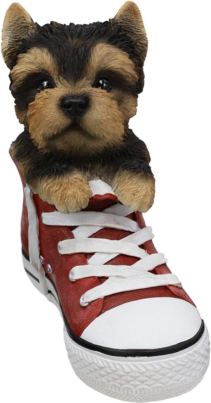 Ebros Gift Ebros Paw-Star Pups Yorkie Yorkshire Terrier In Sneaker With Glass Eyes Figurine