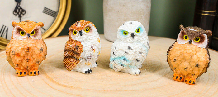 ebros gift Ebros Peeking Colorful Nocturnal Fat Owls Miniature Figurine Set of 4 Whimsical