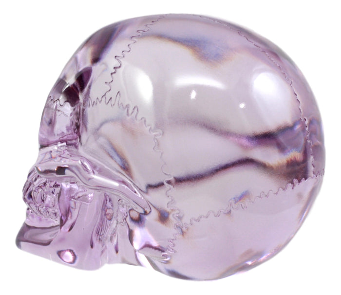 Ebros Gift Ebros Pirate Cave Tomb Treasure Purple Translucent Skull Figurine Decorative Statue Acrylic Resin