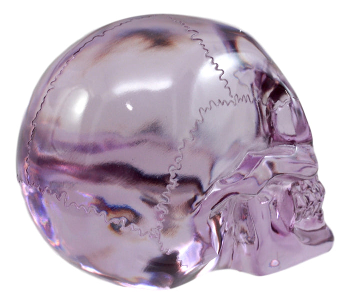 Ebros Gift Ebros Pirate Cave Tomb Treasure Purple Translucent Skull Figurine Decorative Statue Acrylic Resin