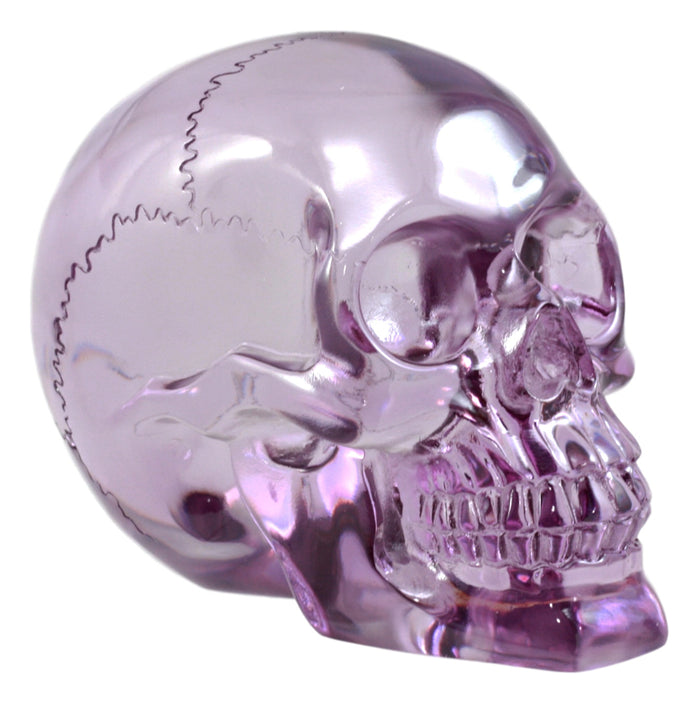 ebros gift Ebros Pirate Cave Tomb Treasure Purple Translucent Skull Figurine Decorative Statue Acrylic Resin