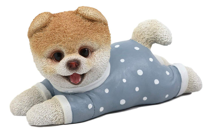 Ebros Gift Ebros Polkadot Pajamas Boo The World's Cutest Pomeranian Dog Statue Pet Pal Dogs Collectible Breed Pomeranians Memorial Collectible Resin Decor Figurine With Glass Eyes Official Licensed Sculpture