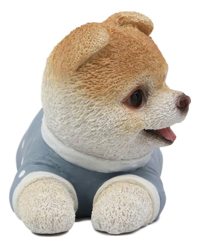Ebros Gift Ebros Polkadot Pajamas Boo The World's Cutest Pomeranian Dog Statue Pet Pal Dogs Collectible Breed Pomeranians Memorial Collectible Resin Decor Figurine With Glass Eyes Official Licensed Sculpture