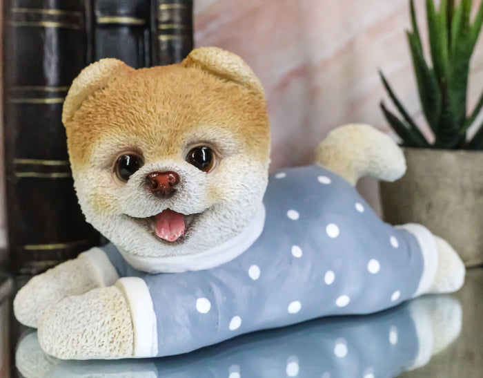 ebros gift Ebros Polkadot Pajamas Boo The World's Cutest Pomeranian Dog Statue Pet Pal Dogs Collectible Breed Pomeranians Memorial Collectible Resin Decor Figurine with Glass Eyes Official Licensed Sculpture