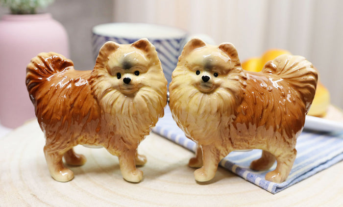 ebros gift Ebros Pom Pom Golden Groomed Pomeranian Attractives Magnetic Salt Pepper Shakers