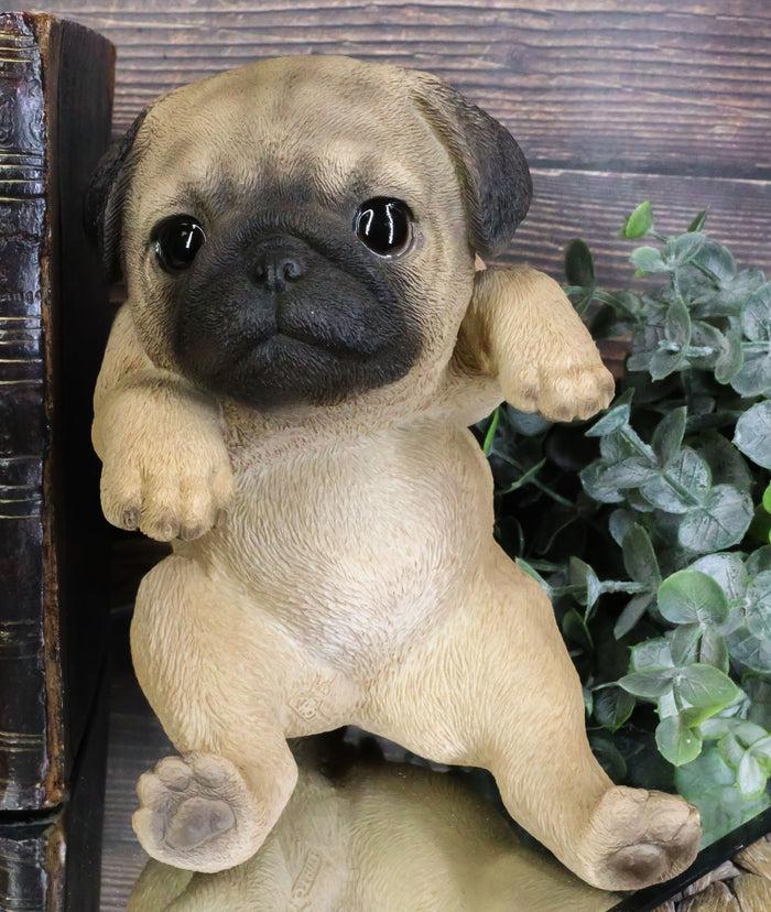 Ebros Gift Ebros Pot Pal Hanging Pug Puppy Pooch Dog Statue 6.5" Tall With Glass Eyes