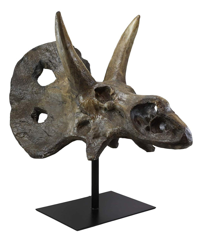 Ebros Gift Ebros Prehistoric '3 Horns' Triceratops Dinosaur Fossil Skeleton Statue 22" Tall