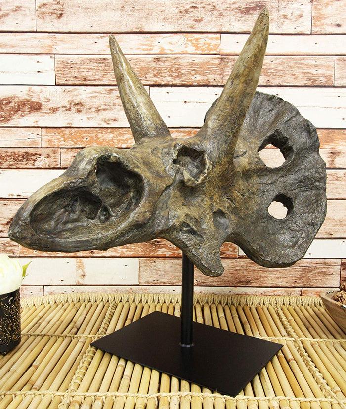 ebros gift Ebros Prehistoric '3 Horns' Triceratops Dinosaur Fossil Skeleton Statue 22" Tall
