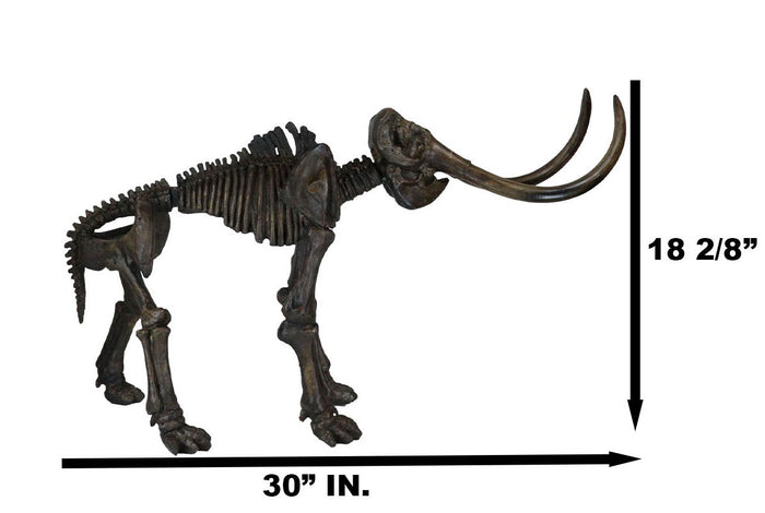 Ebros Gift Ebros Prehistoric Elephant Jurassic Era Woolly Mammoth Fossil Skeleton 30"Long