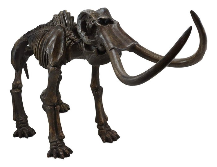 Ebros Gift Ebros Prehistoric Elephant Jurassic Era Woolly Mammoth Fossil Skeleton 30"Long