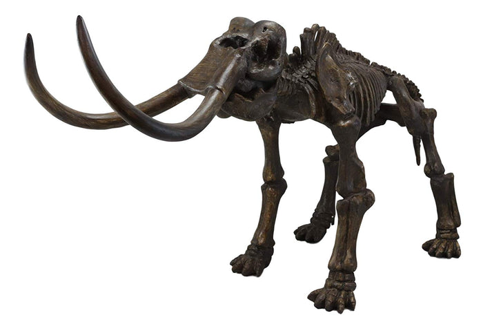 Ebros Gift Ebros Prehistoric Elephant Jurassic Era Woolly Mammoth Fossil Skeleton 30"Long