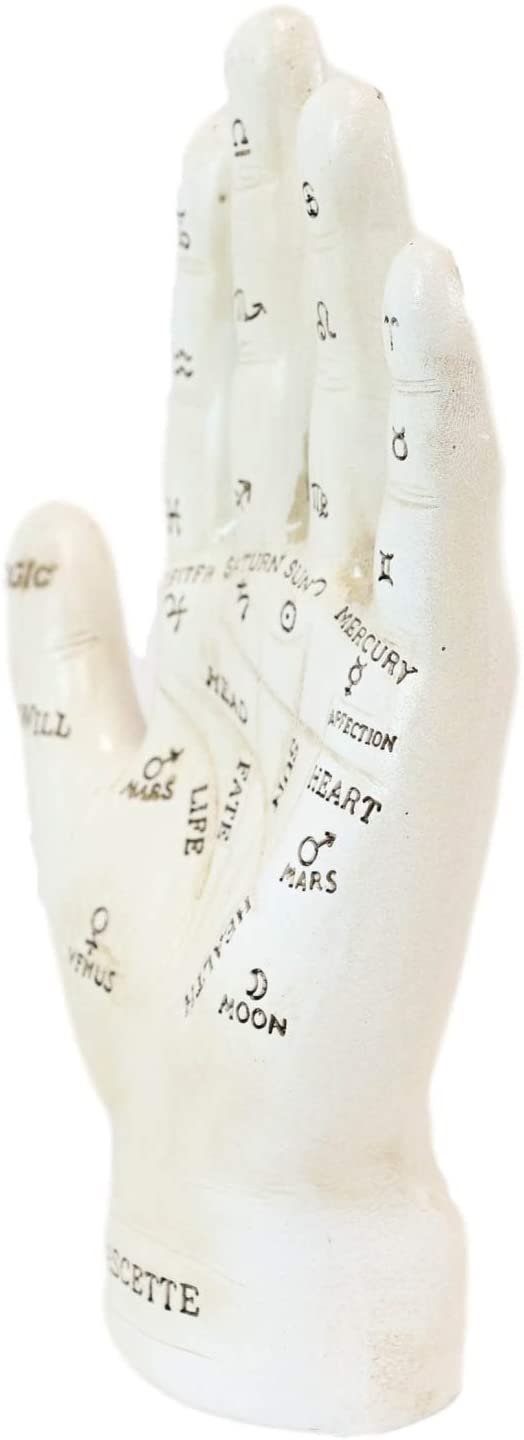 Ebros Gift Ebros Psychic Palmistry Hand Fortune Teller Divination Diagram Resin Figurine