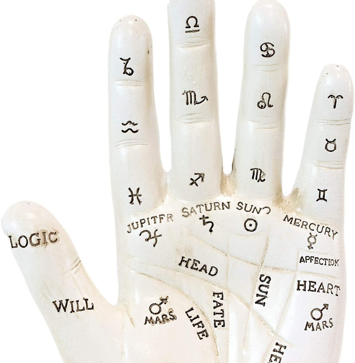 Ebros Gift Ebros Psychic Palmistry Hand Fortune Teller Divination Diagram Resin Figurine