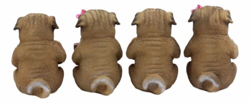 Ebros Gift Ebros Pug Life Adorable Chubby Pugs Holding Signs Figurine Set 4"H Sitting Pugs