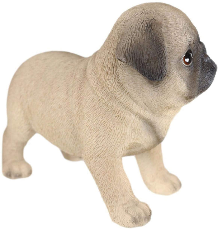 Ebros Gift Ebros Realistic Adorable Fawn Pug Puppy Dog Figurine 5"L Pet Pal Pugsy