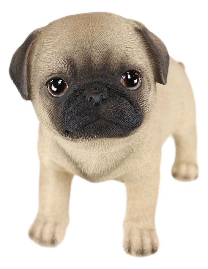 Ebros Gift Ebros Realistic Adorable Fawn Pug Puppy Dog Figurine 5"L Pet Pal Pugsy