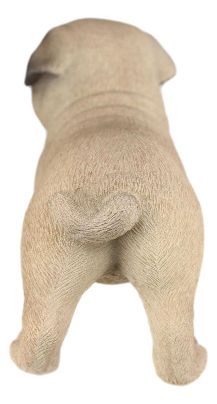 Ebros Gift Ebros Realistic Adorable Fawn Pug Puppy Dog Figurine 5"L Pet Pal Pugsy