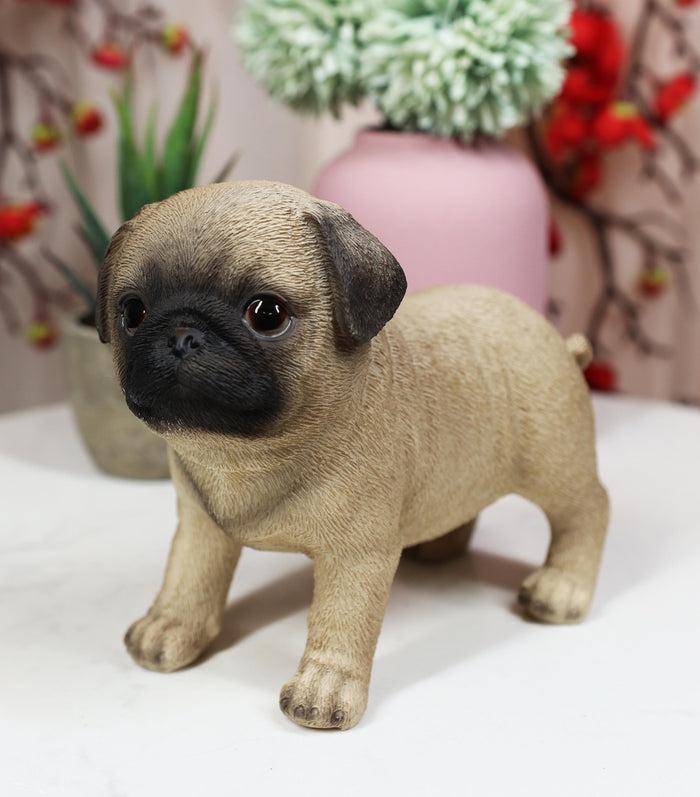 ebros gift Ebros Realistic Adorable Fawn Pug Puppy Dog Figurine 5"L Pet Pal Pugsy