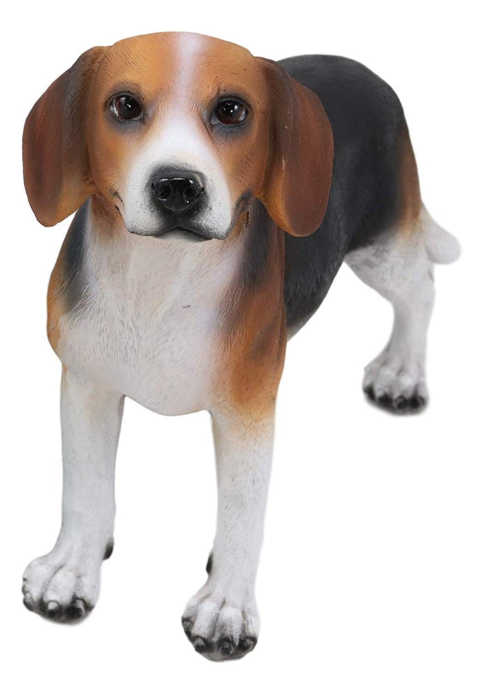 Ebros Gift Ebros Realistic Adorable Tri Color Beagle Dog Figurine 7.75" Long Beagles Puppy Dogs Pet Memorial Collectible Decor Statue With Glass Eyes