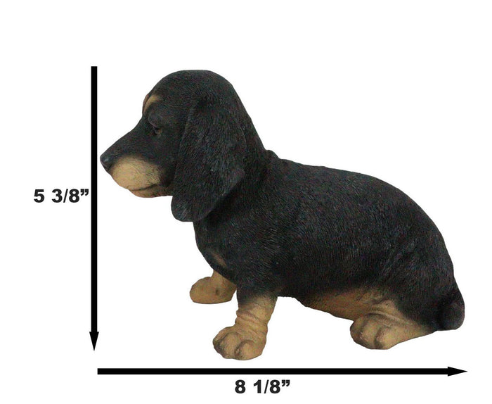 Ebros Gift Ebros Realistic Black And Tan Dachshund Puppy Statue 8"L Schnitzel Sausage Wiener Dog