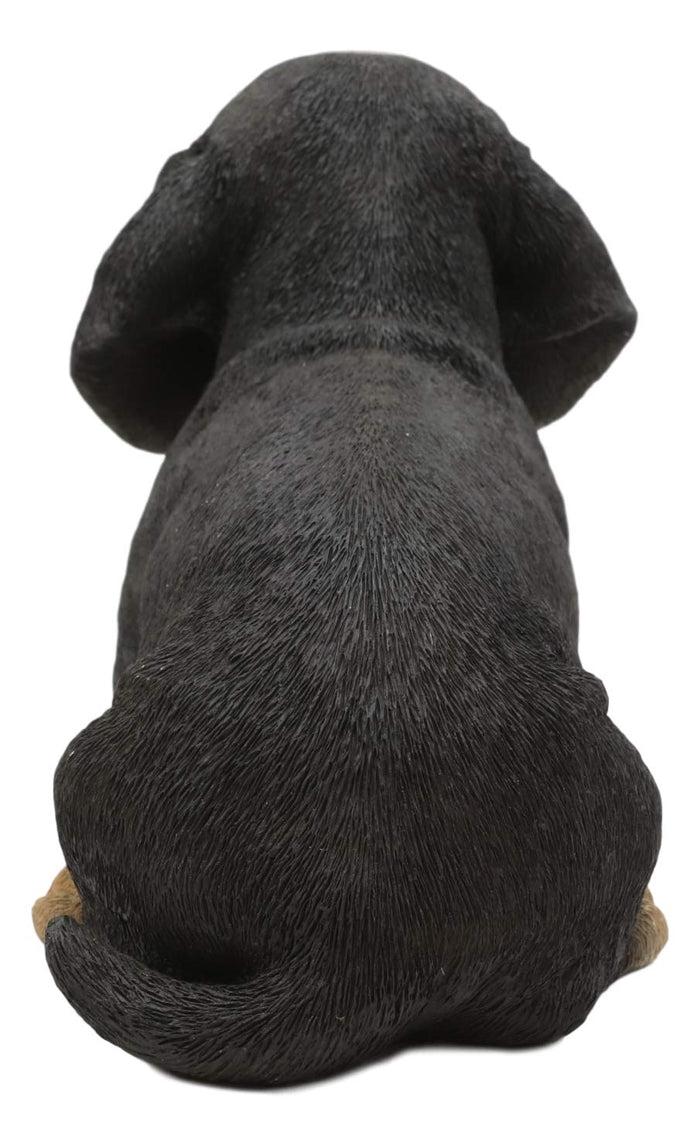 Ebros Gift Ebros Realistic Black And Tan Dachshund Puppy Statue 8"L Schnitzel Sausage Wiener Dog
