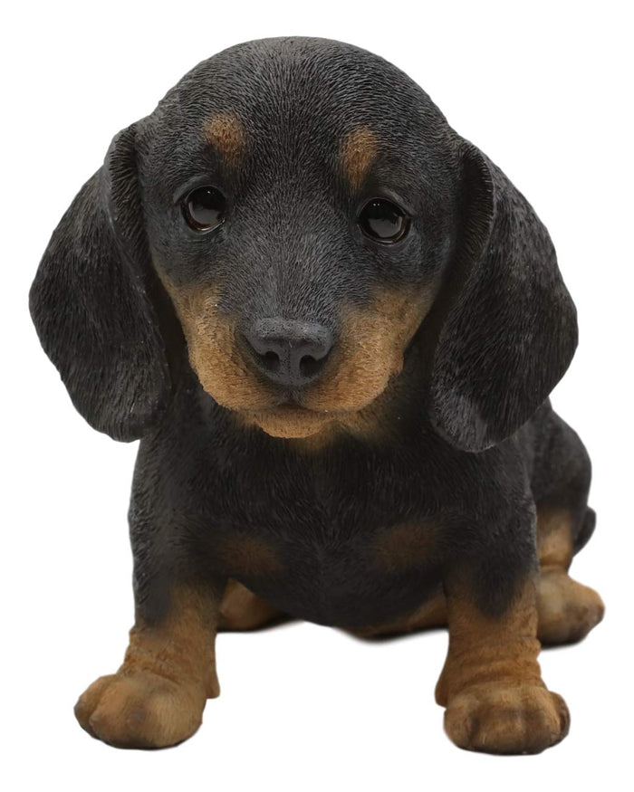 Ebros Gift Ebros Realistic Black And Tan Dachshund Puppy Statue 8"L Schnitzel Sausage Wiener Dog
