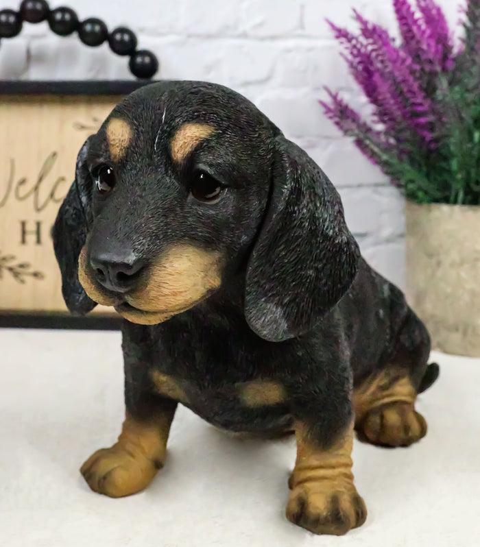 ebros gift Ebros Realistic Black And Tan Dachshund Puppy Statue 8"L Schnitzel Sausage Wiener Dog