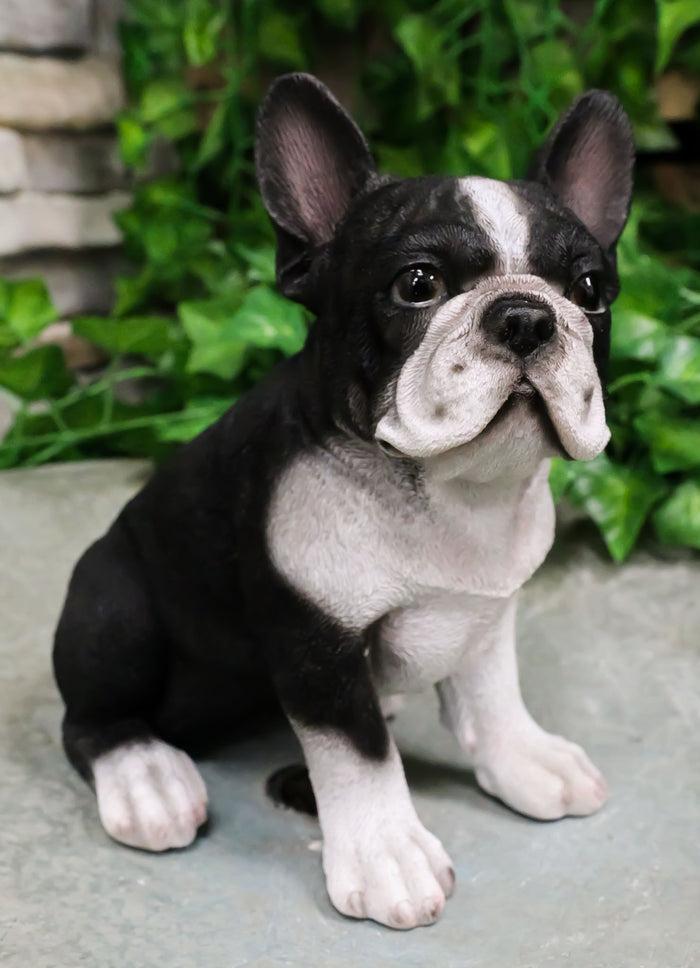 ebros gift Ebros Realistic Black French Bulldog Puppy Dog with Glass Eyes Statue 7" Tall