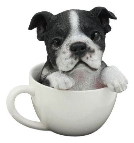 Ebros Gift Ebros Realistic Boston Terrier Teacup Statue Pet Pal Tuxedo Gentleman Dog Figurine