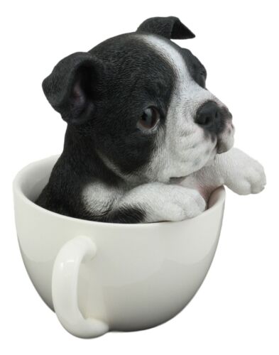 Ebros Gift Ebros Realistic Boston Terrier Teacup Statue Pet Pal Tuxedo Gentleman Dog Figurine