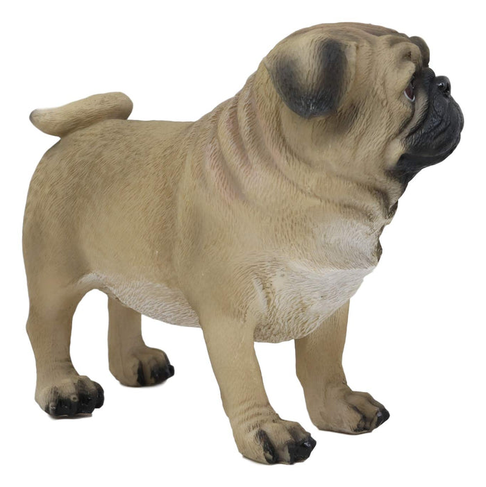 Ebros Gift Ebros Realistic Lifelike Adorable Fawn Pug Dog Statue 7.75" L Figurine With Glass Eyes