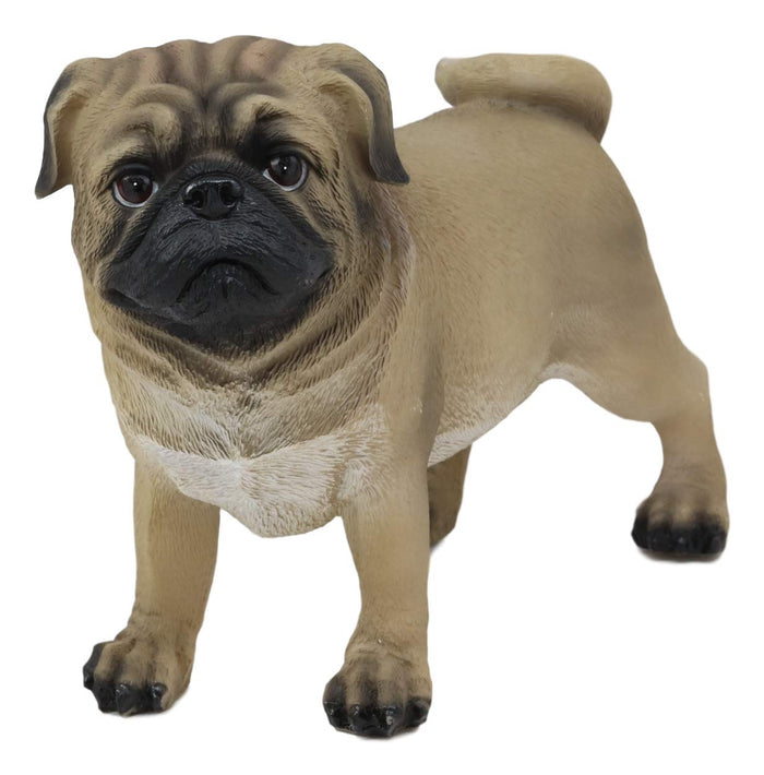 ebros gift Ebros Realistic Lifelike Adorable Fawn Pug Dog Statue 7.75" L Figurine with Glass Eyes