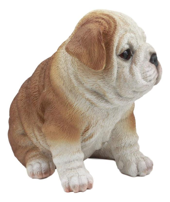 Ebros Gift Ebros Realistic Lifelike Bulldog Puppy Statue 6" Tall British Bulldog Figurine