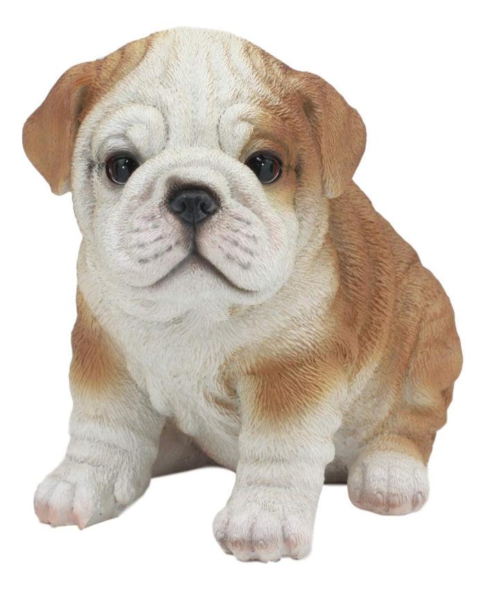 Ebros Gift Ebros Realistic Lifelike Bulldog Puppy Statue 6" Tall British Bulldog Figurine