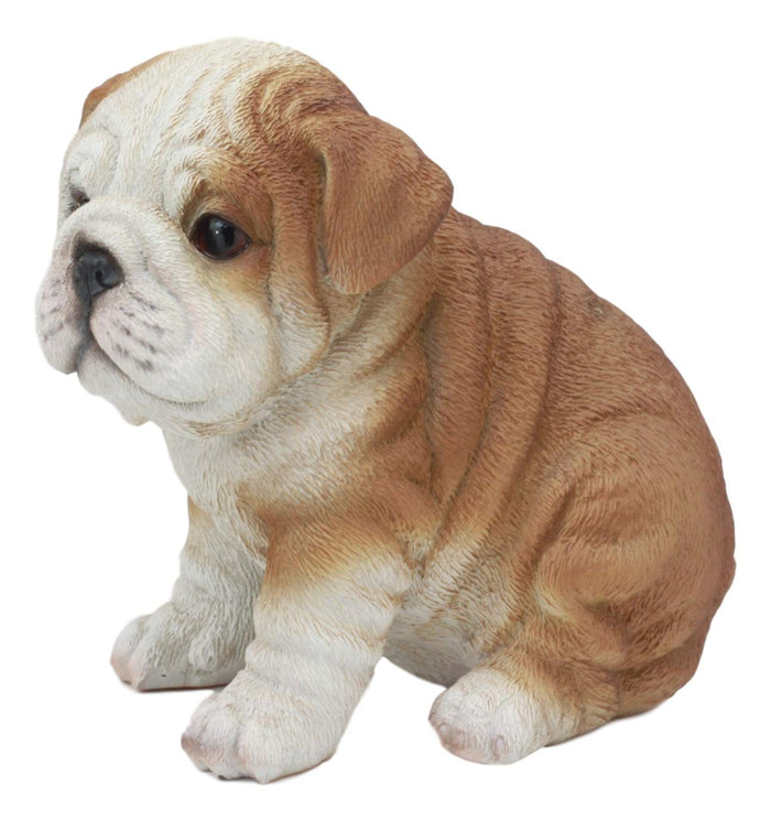Ebros Gift Ebros Realistic Lifelike Bulldog Puppy Statue 6" Tall British Bulldog Figurine