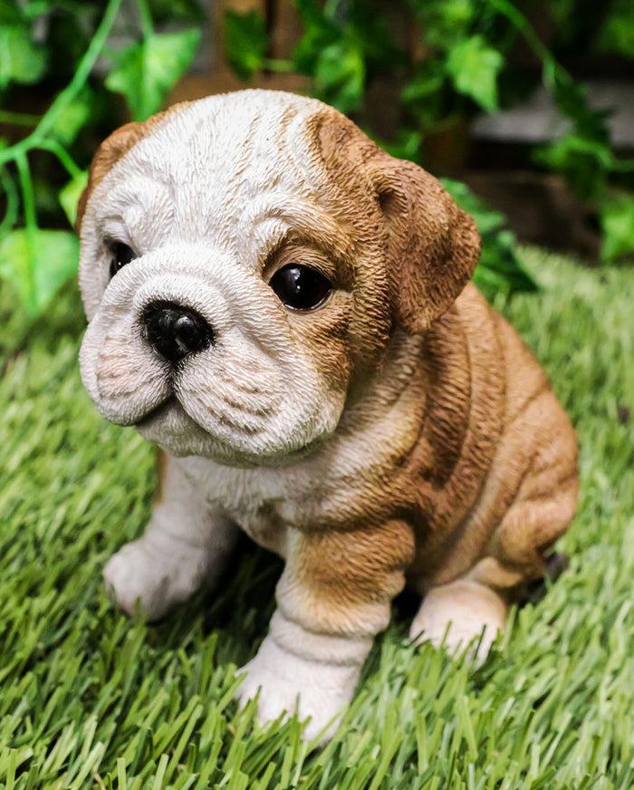 ebros gift Ebros Realistic Lifelike Bulldog Puppy Statue 6" Tall British Bulldog Figurine