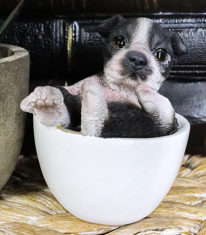 ebros gift Ebros Realistic Mini Boston Terrier Teacup Statue 2.5"H Pet Pal Tuxedo Gentleman Dog