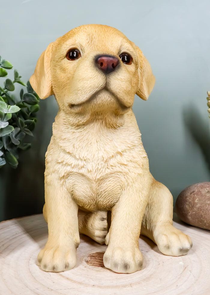 ebros gift Ebros Realistic Sitting Adorable Labrador Puppy Statue 6.75" Tall Pet Pal
