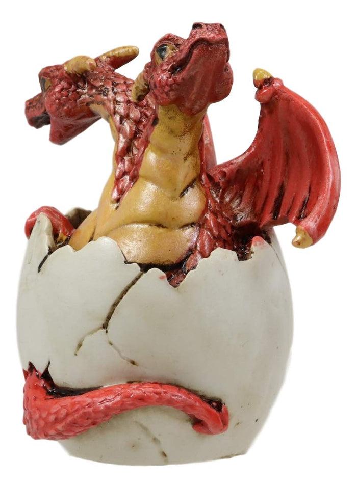 ebros gift Ebros Red Baby Wyrmling Two Headed Dragon Hydra Hatchling in Egg Statue 3.25" Tall Dungeons Dragons Legends Fantasy Home and Garden Accent Decor