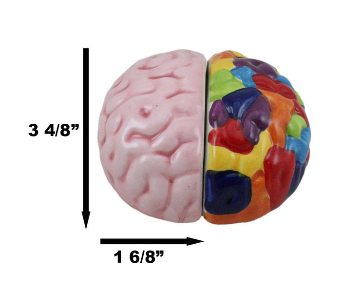 Ebros Gift Ebros Right And Left Brains Magnetic Ceramic Salt Pepper Shakers Set 3.5"L