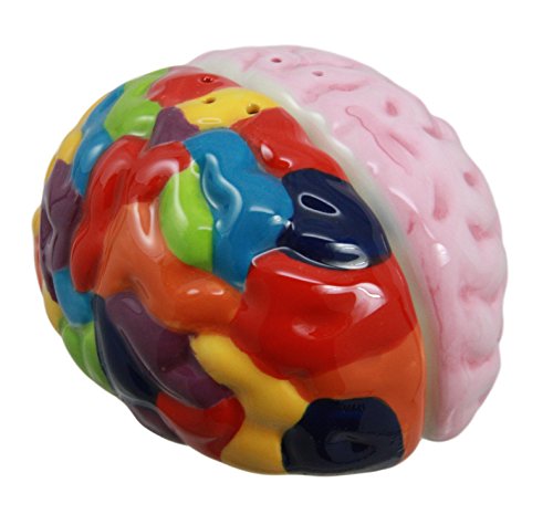 Ebros Gift Ebros Right And Left Brains Magnetic Ceramic Salt Pepper Shakers Set 3.5"L