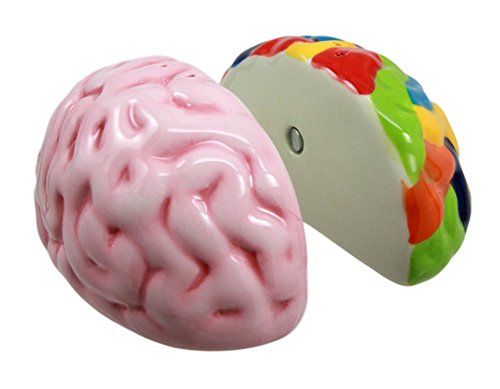 Ebros Gift Ebros Right And Left Brains Magnetic Ceramic Salt Pepper Shakers Set 3.5"L