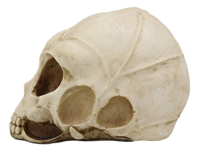 Ebros Gift Ebros Roswell UFO Alien Honeycomb Elongated Skull 8" Long Skeleton Head Figurine