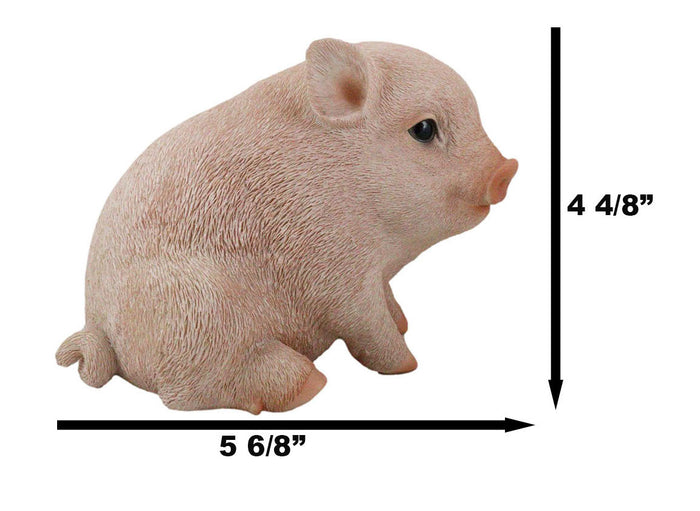 Ebros Gift Ebros Rustic Adorable Animal Farm Babe Fat Nude Piglet Pig Sitting Figurine 6"L