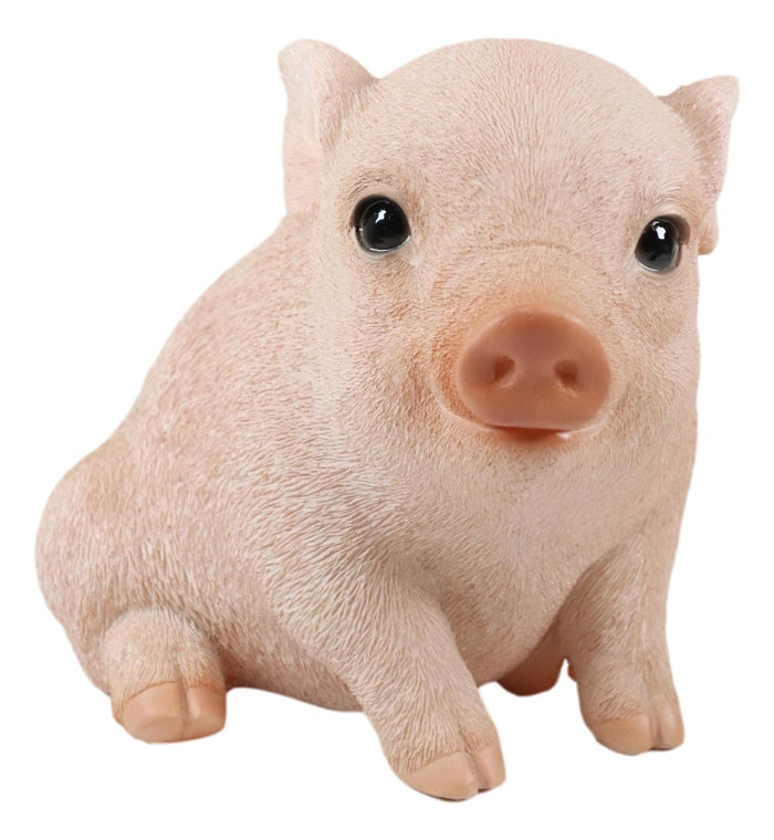 Ebros Gift Ebros Rustic Adorable Animal Farm Babe Fat Nude Piglet Pig Sitting Figurine 6"L