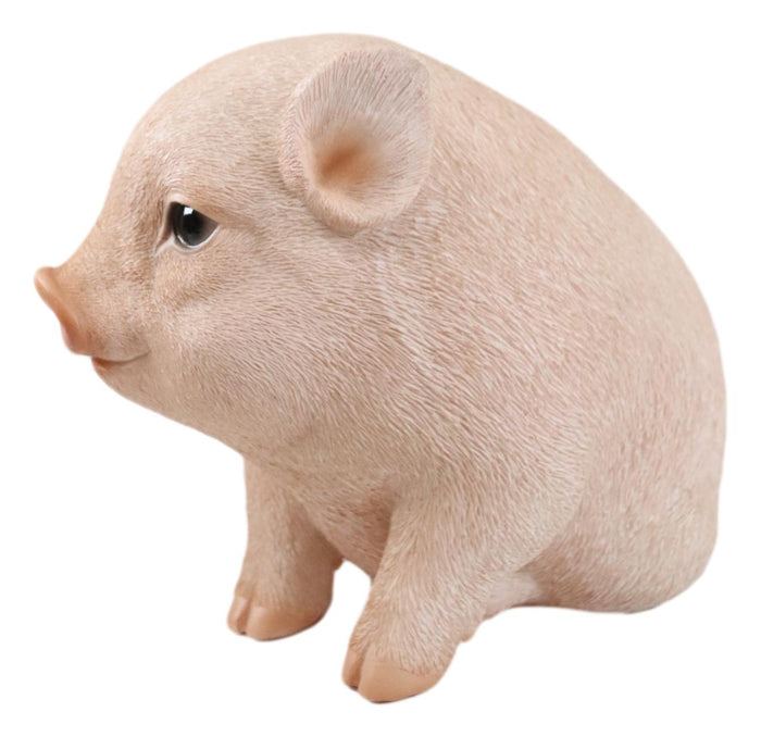 Ebros Gift Ebros Rustic Adorable Animal Farm Babe Fat Nude Piglet Pig Sitting Figurine 6"L