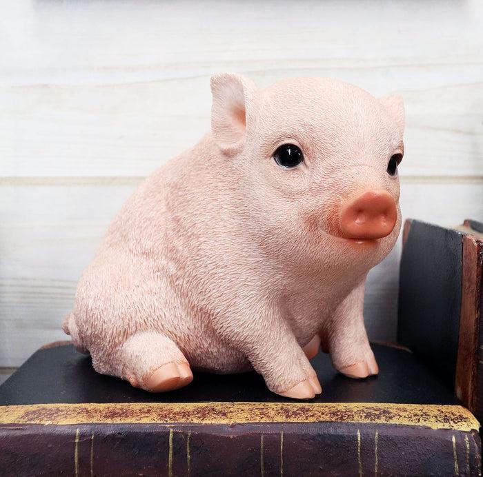 ebros gift Ebros Rustic Adorable Animal Farm Babe Fat Nude Piglet Pig Sitting Figurine 6"L